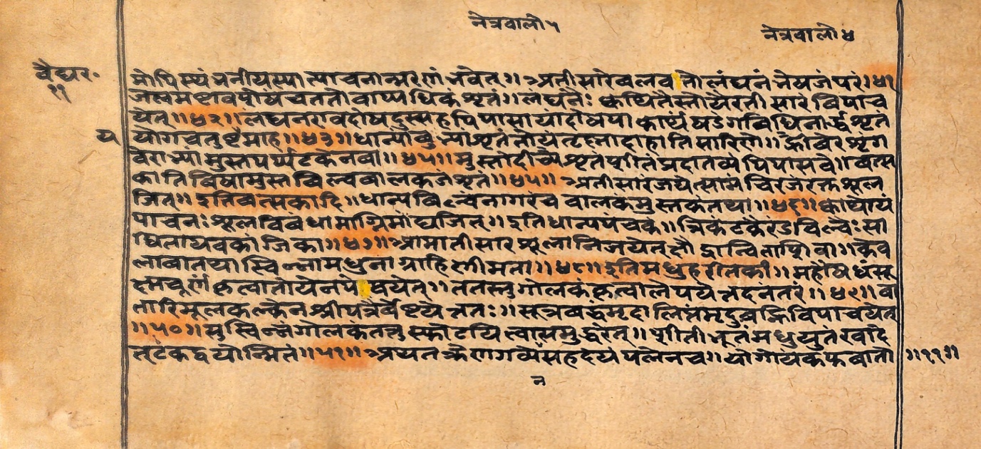 Vaidyarahasya, page 23