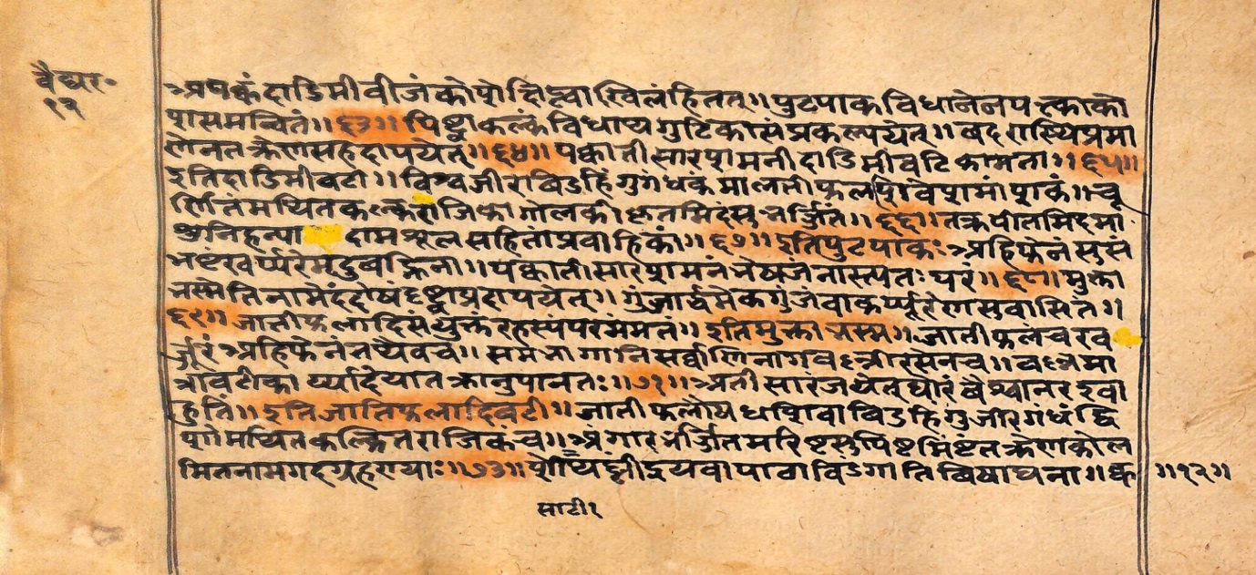 Vaidyarahasya, page 25