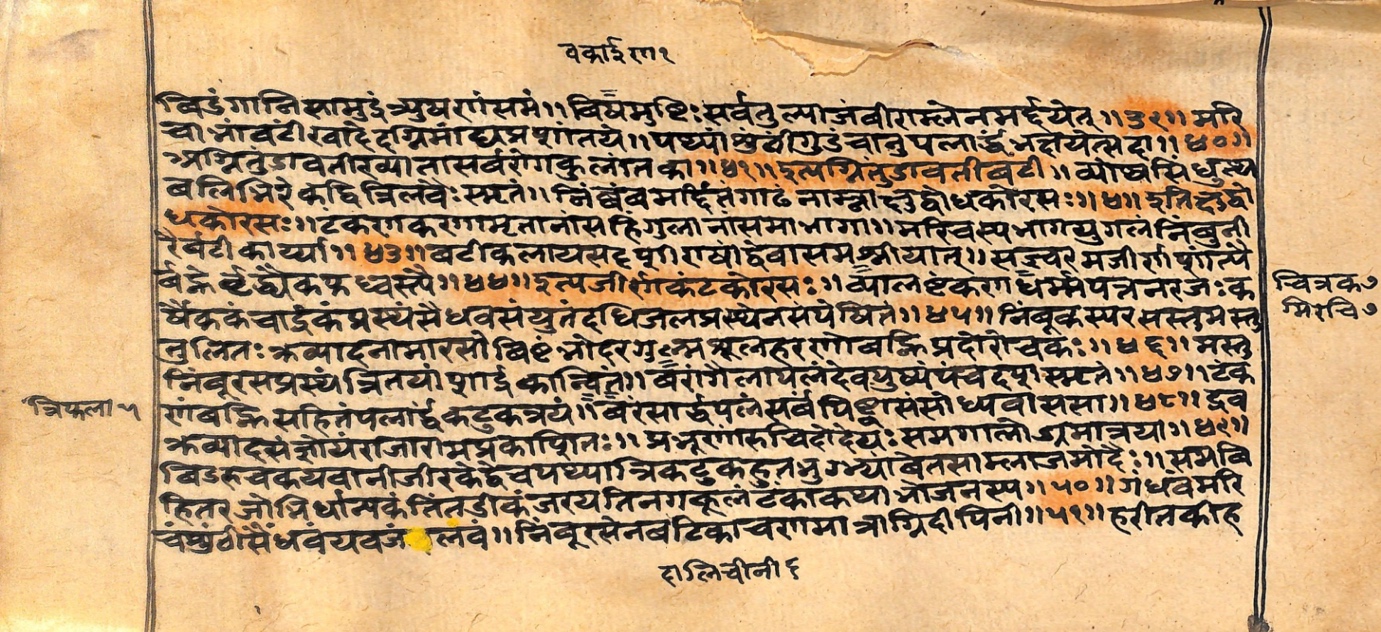 Vaidyarahasya, page 40