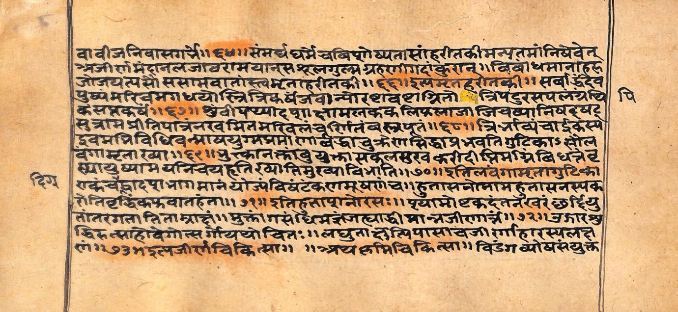 Vaidyarahasya, page 42