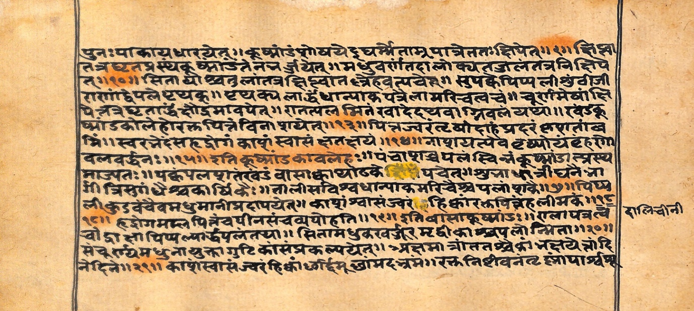 Vaidyarahasya, page 46