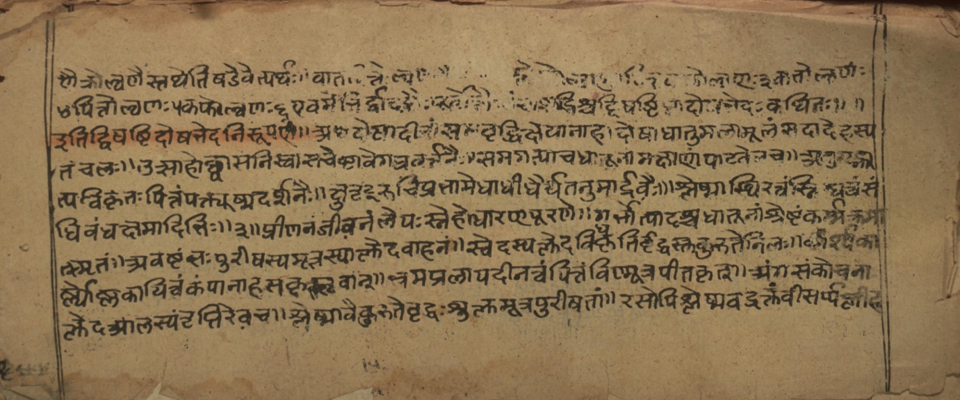 Vaidyasarvasva, page 2