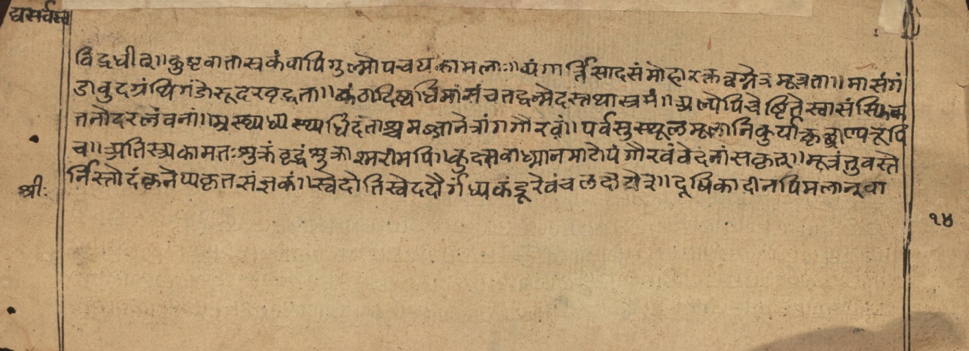 Vaidyasarvasva, page 3