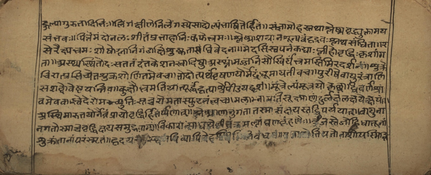 Vaidyasarvasva, page 4