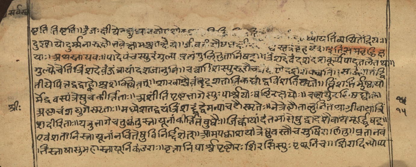 Vaidyasarvasva, page 5