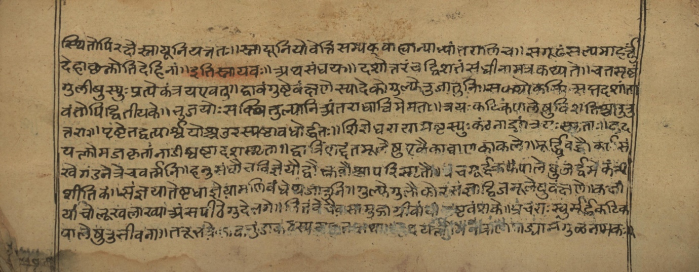 Vaidyasarvasva, page 6