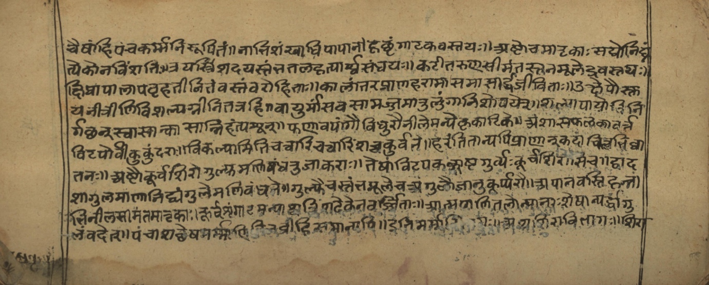 Vaidyasarvasva, page 8