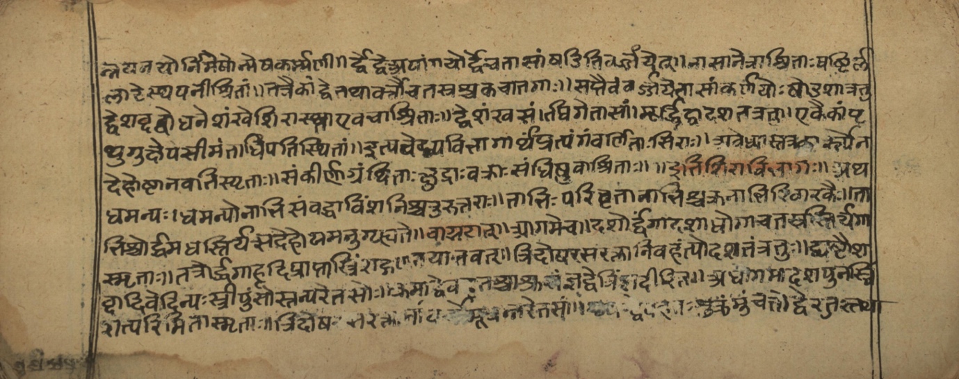 Vaidyasarvasva, page 10