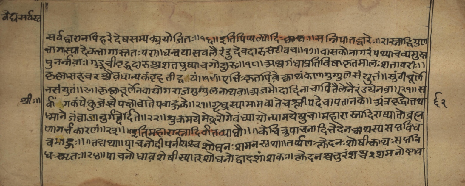 Vaidyasarvasva, page 100