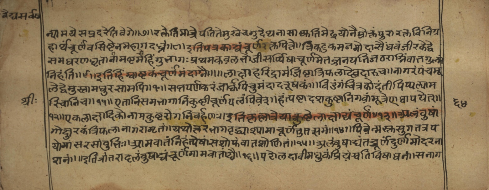 Vaidyasarvasva, page 104