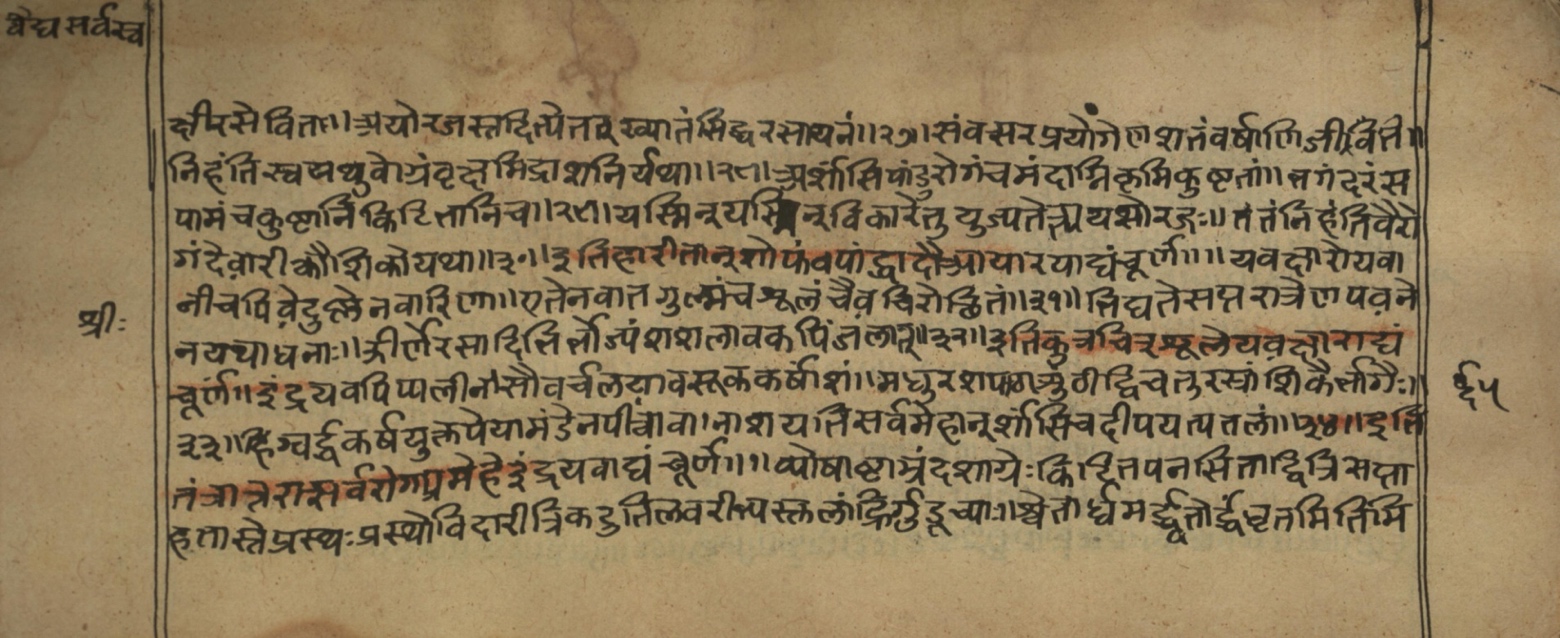 Vaidyasarvasva, page 106
