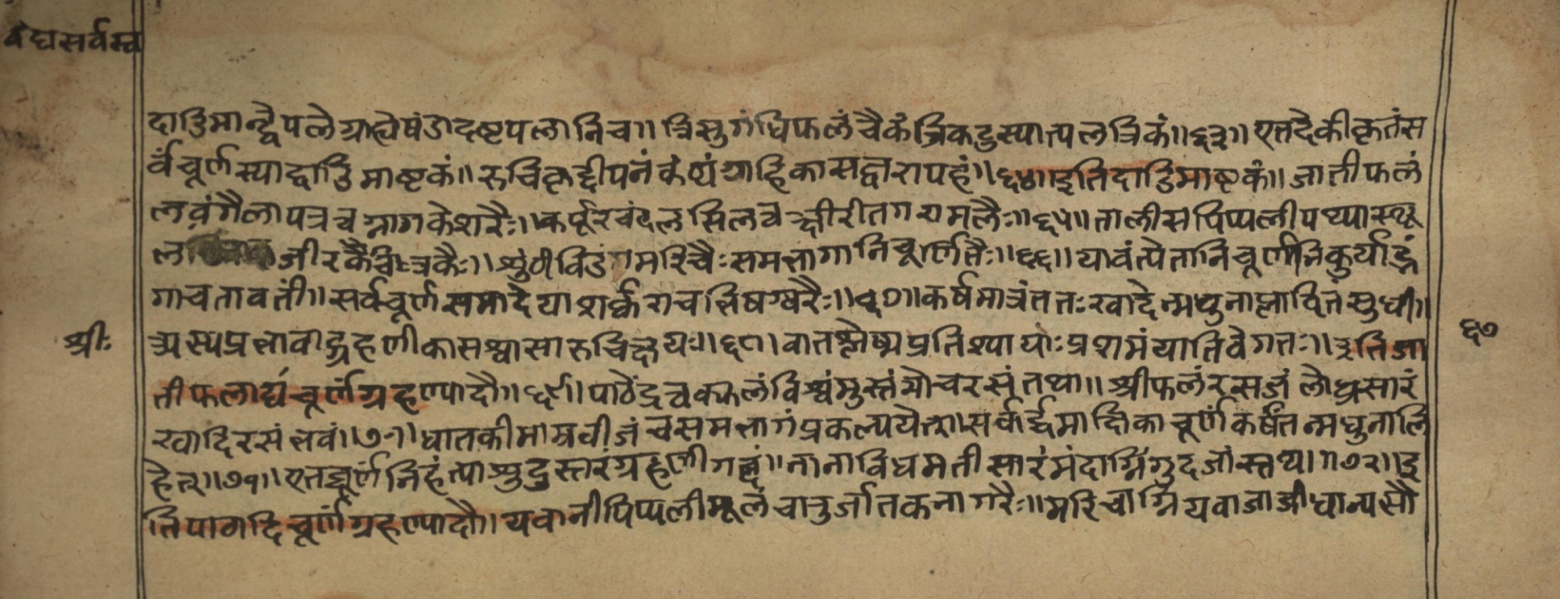Vaidyasarvasva, page 110