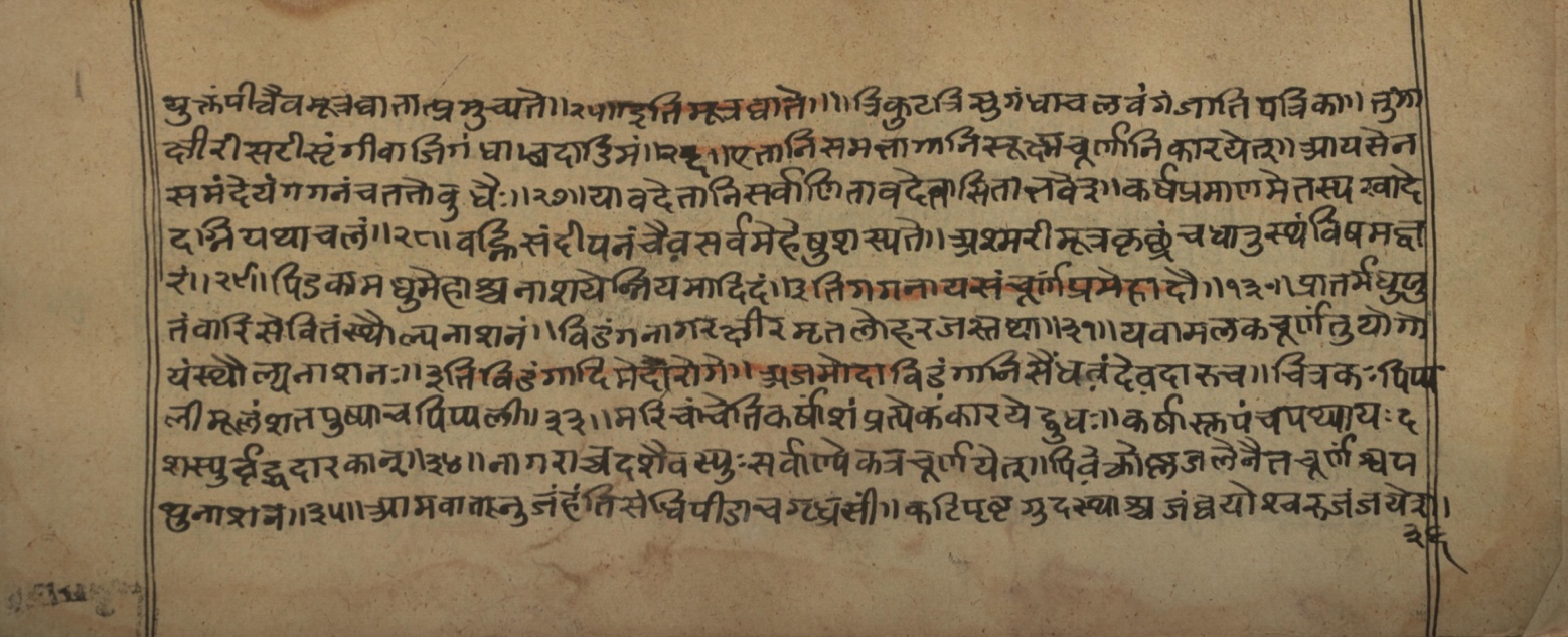 Vaidyasarvasva, page 117