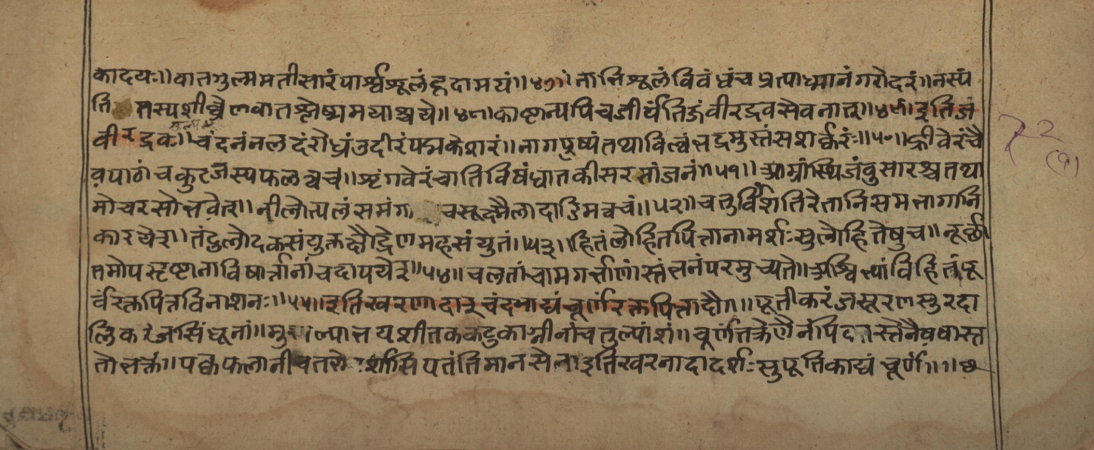 Vaidyasarvasva, page 119