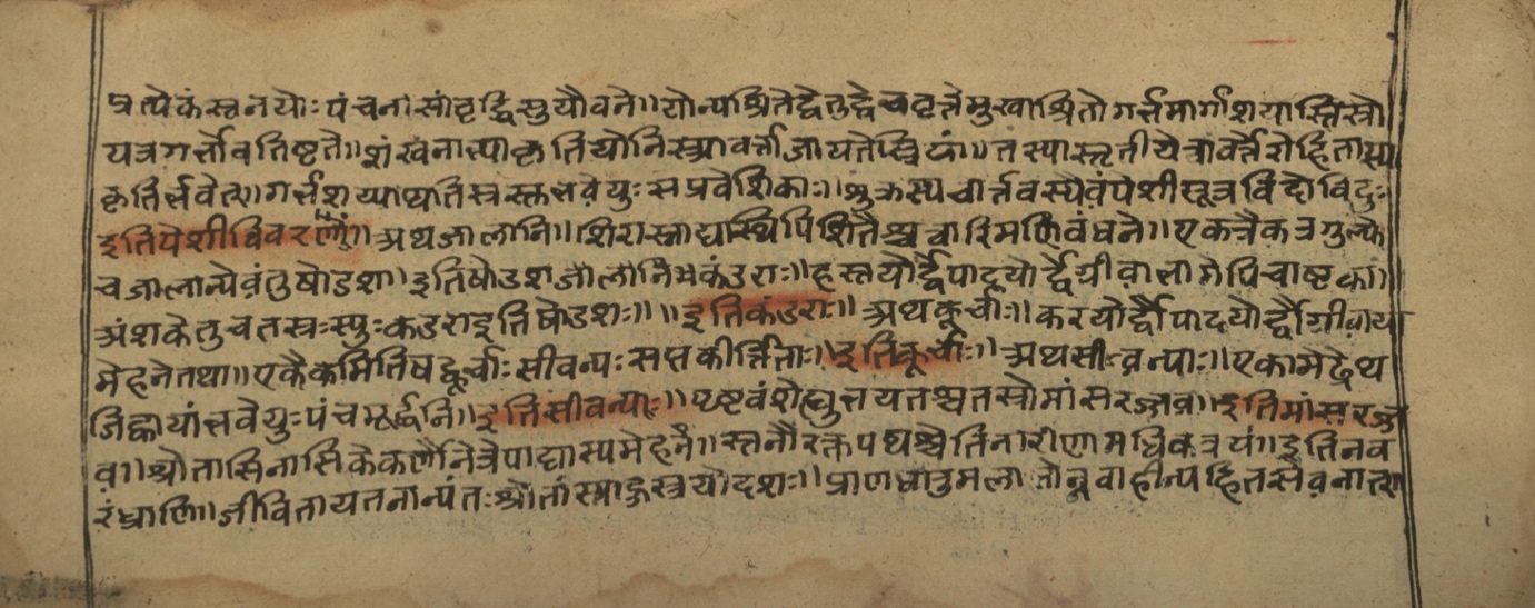 Vaidyasarvasva, page 12