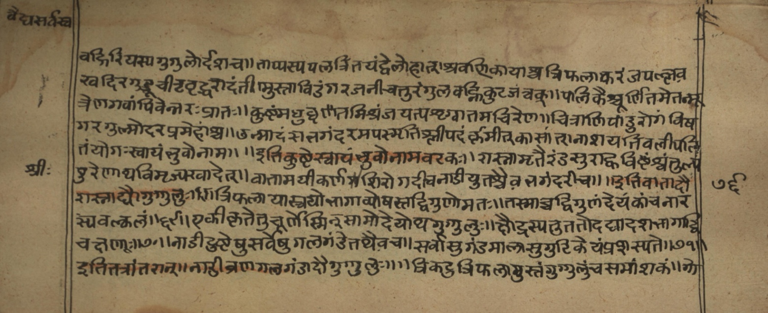 Vaidyasarvasva, page 128