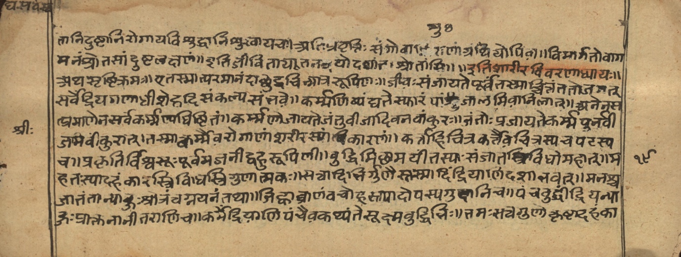 Vaidyasarvasva, page 13