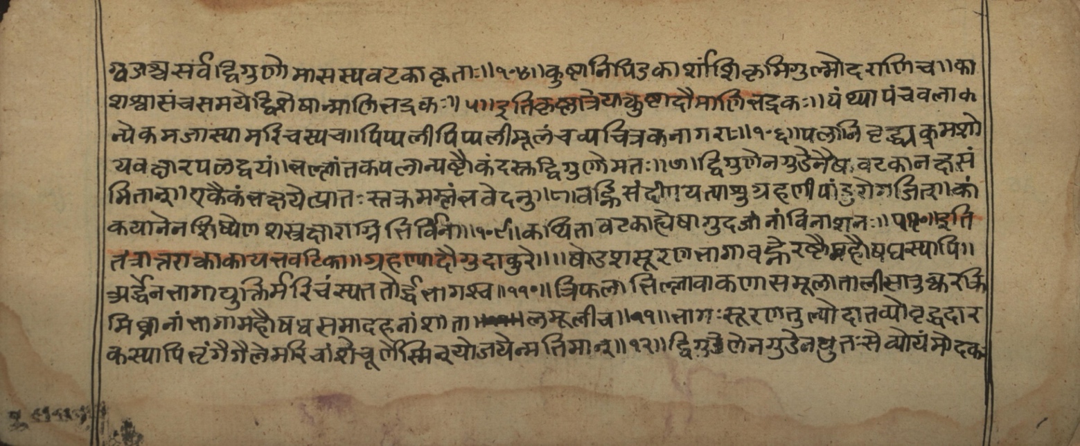 Vaidyasarvasva, page 133
