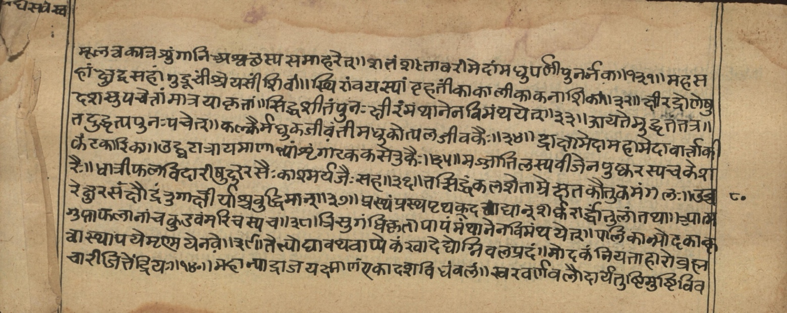 Vaidyasarvasva, page 136