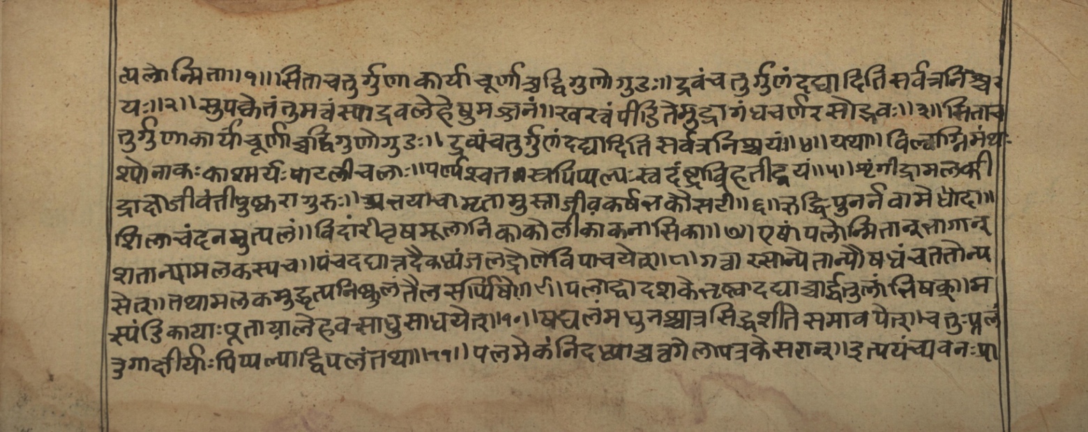 Vaidyasarvasva, page 141