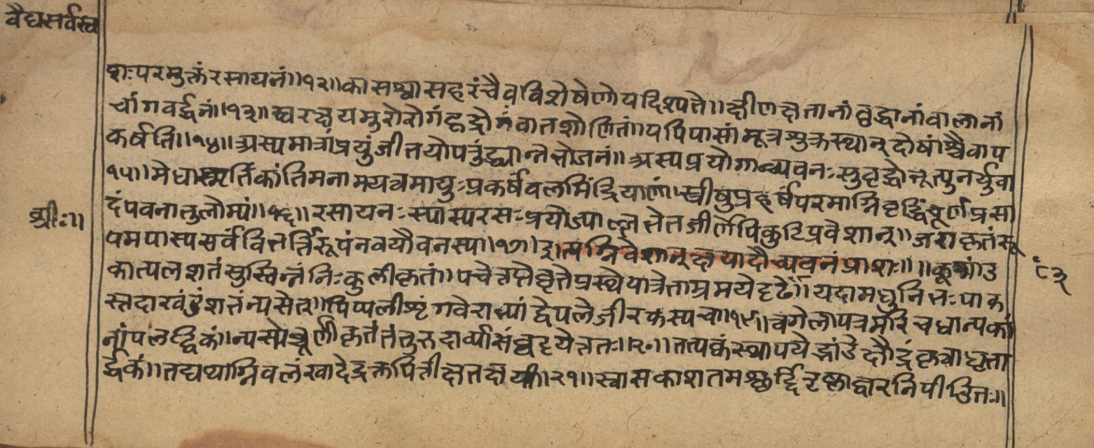 Vaidyasarvasva, page 142
