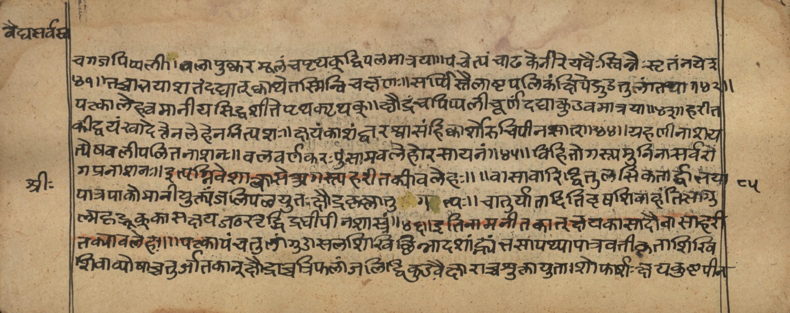 Vaidyasarvasva, page 146