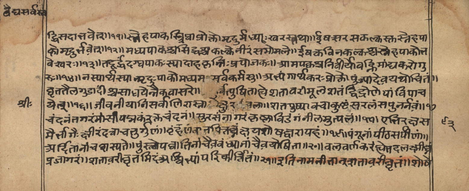 Vaidyasarvasva, page 162