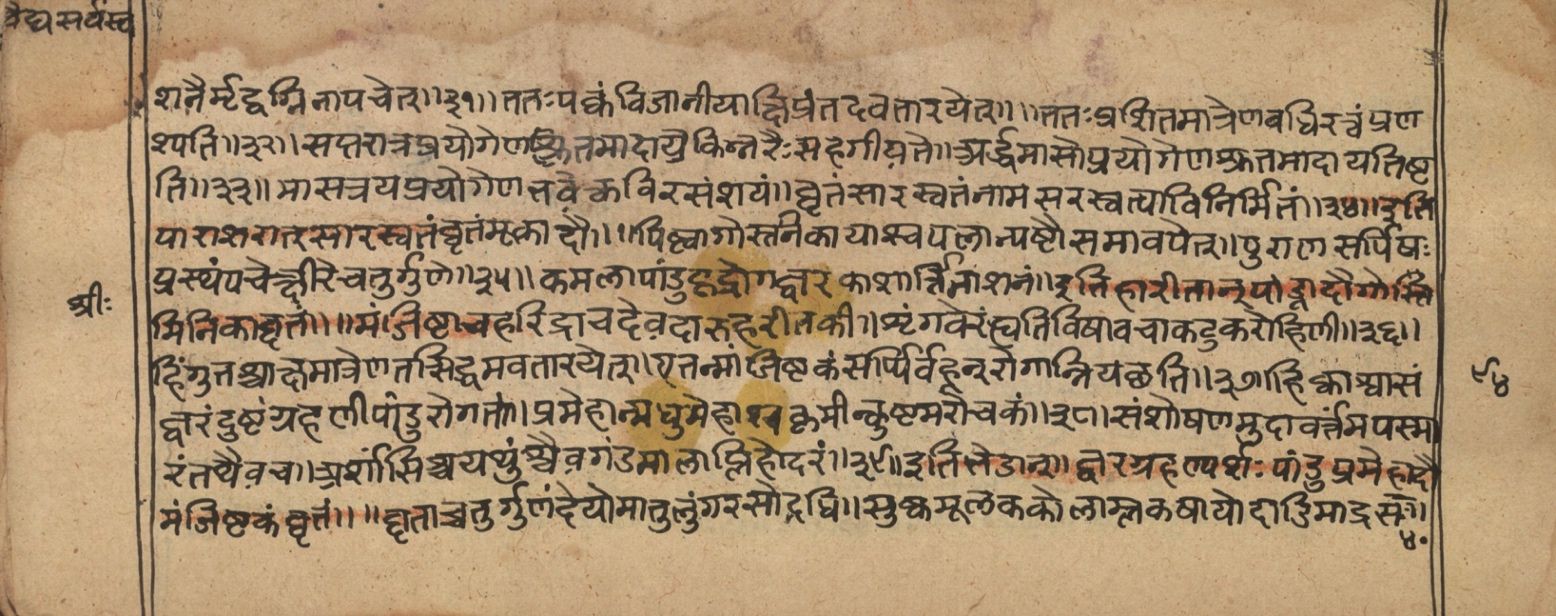 Vaidyasarvasva, page 164