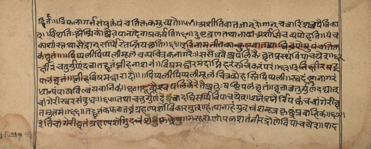 Vaidyasarvasva, page 167