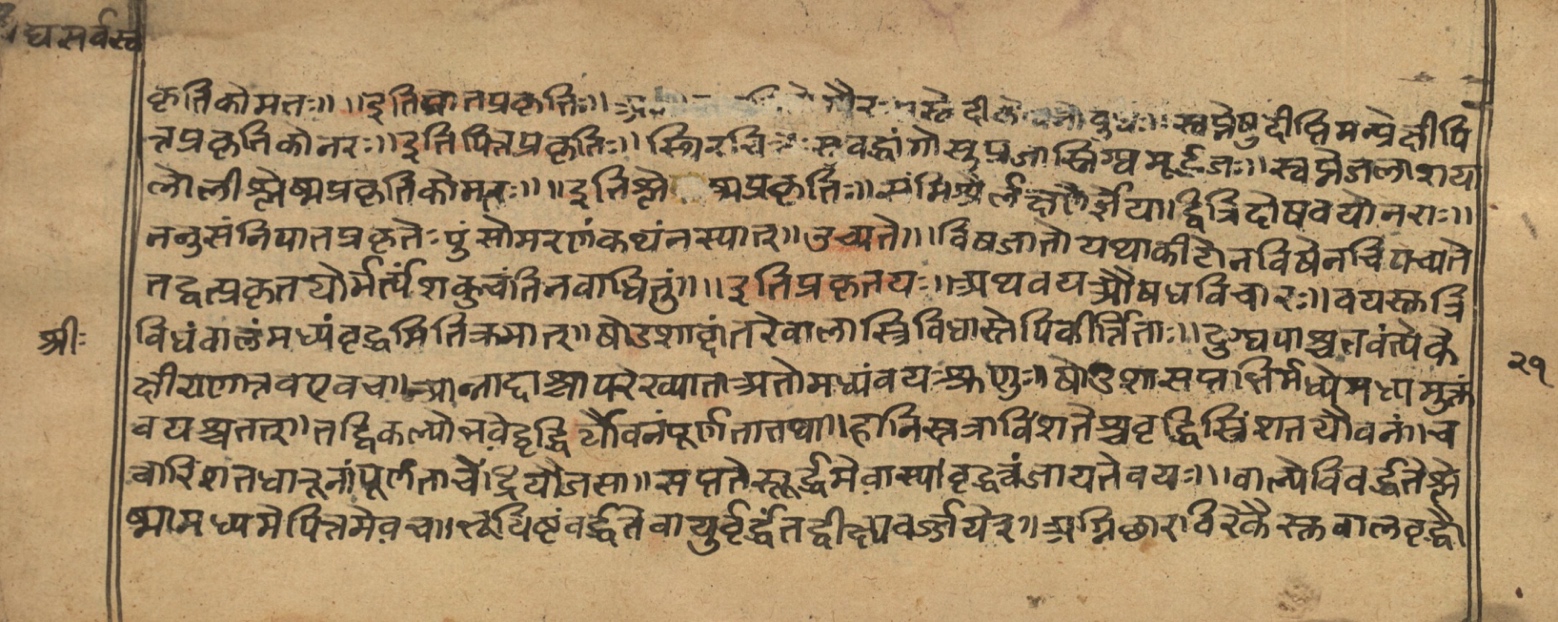 Vaidyasarvasva, page 17