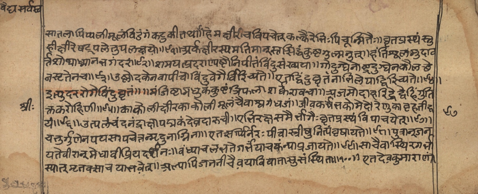 Vaidyasarvasva, page 170
