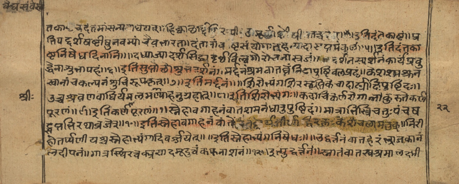 Vaidyasarvasva, page 19