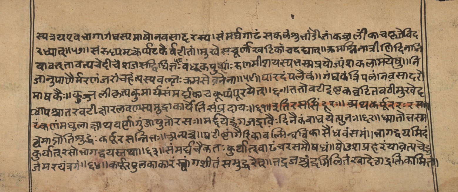 Vaidyasarvasva, page 199
