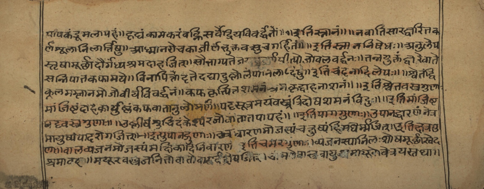 Vaidyasarvasva, page 20