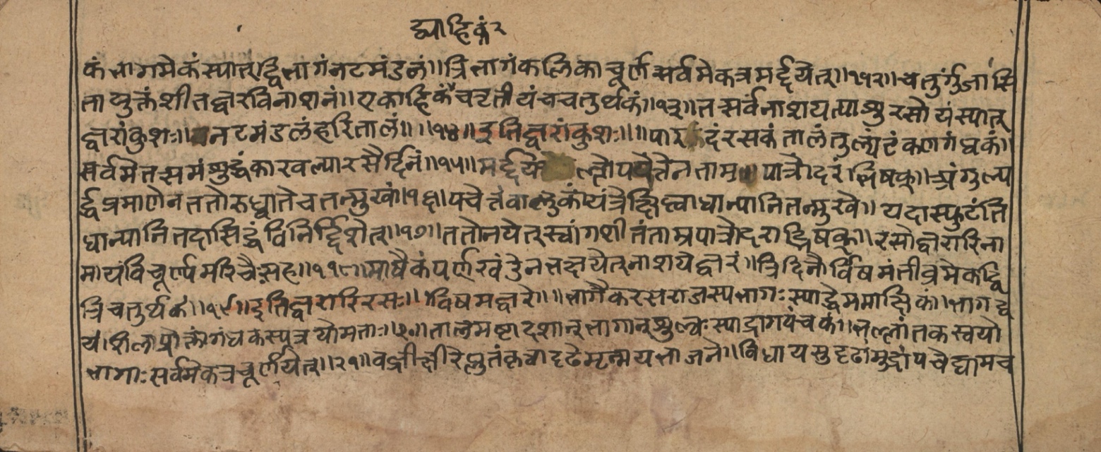 Vaidyasarvasva, page 205