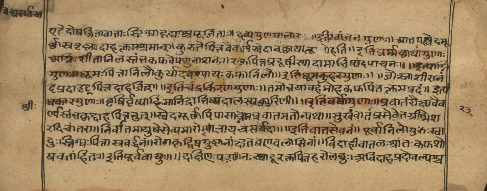 Vaidyasarvasva, page 21