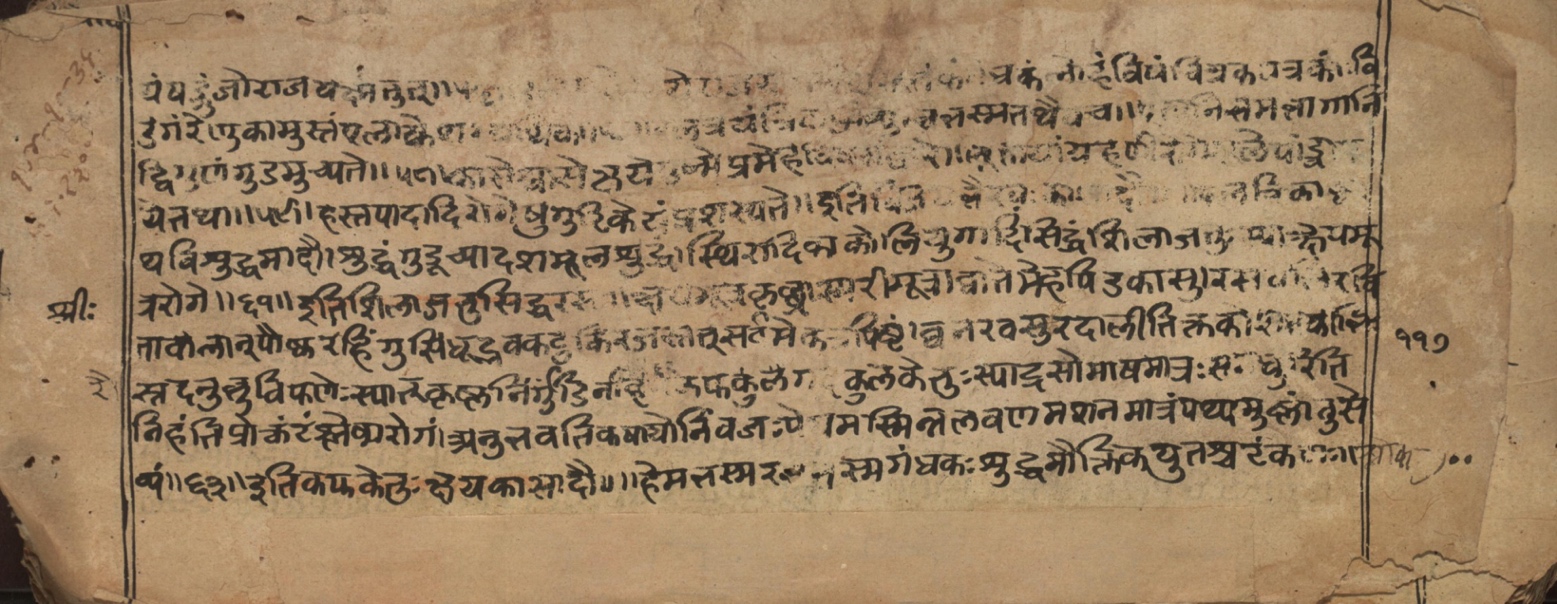 Vaidyasarvasva, page 210