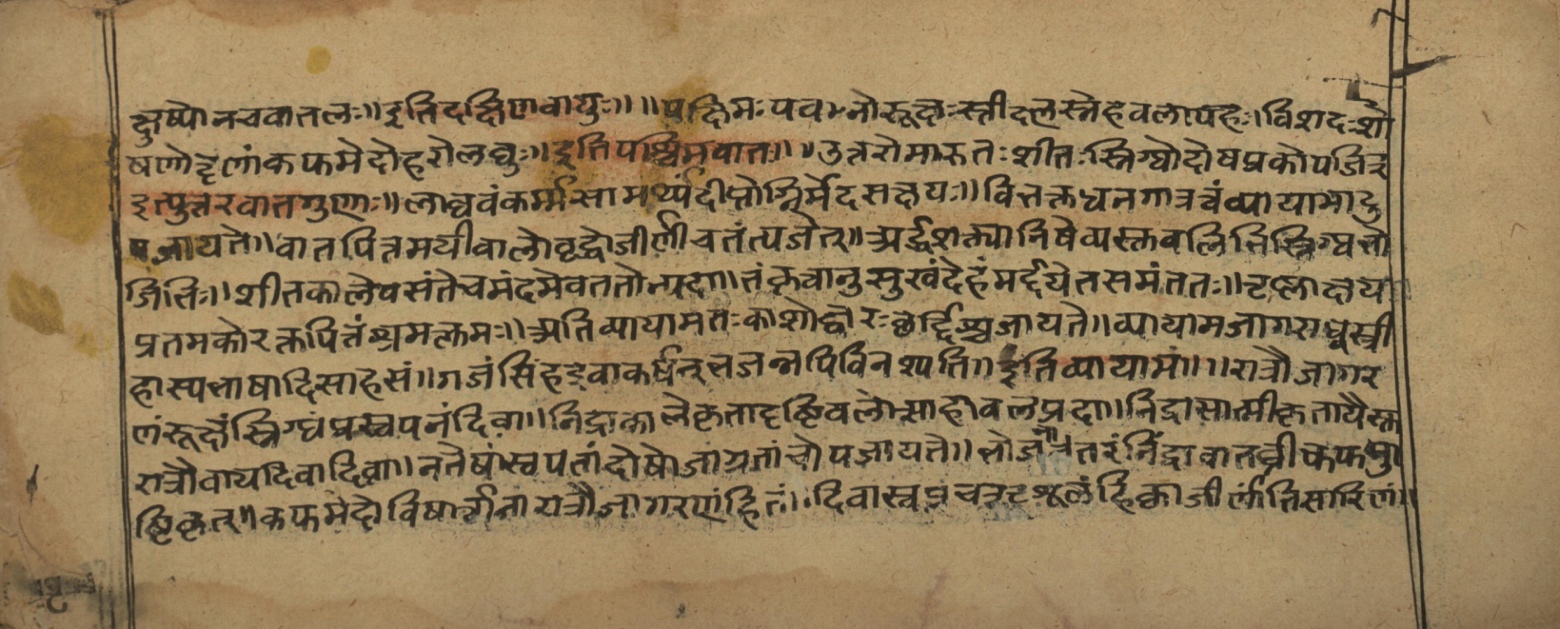 Vaidyasarvasva, page 22