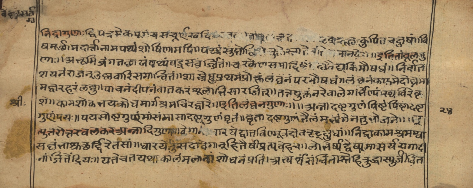 Vaidyasarvasva, page 23