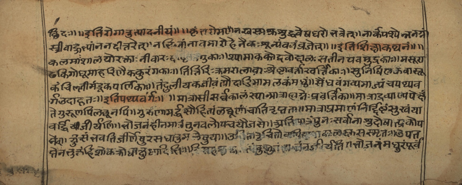 Vaidyasarvasva, page 24