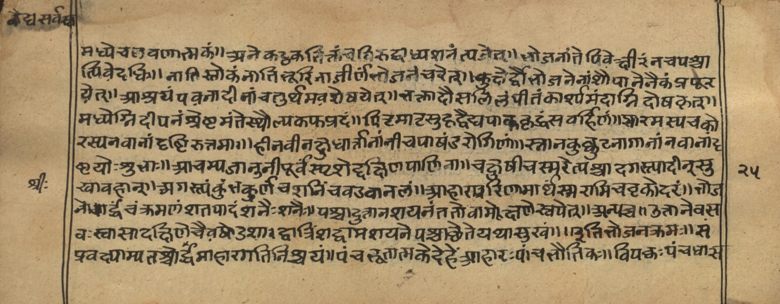 Vaidyasarvasva, page 25