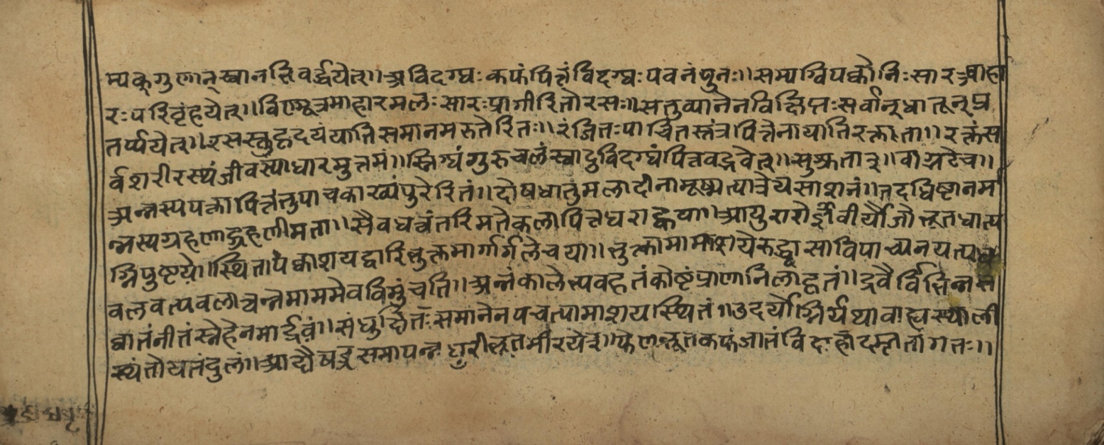Vaidyasarvasva, page 26