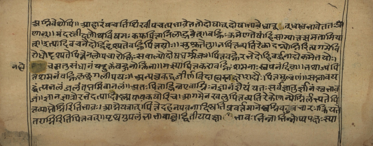Vaidyasarvasva, page 28