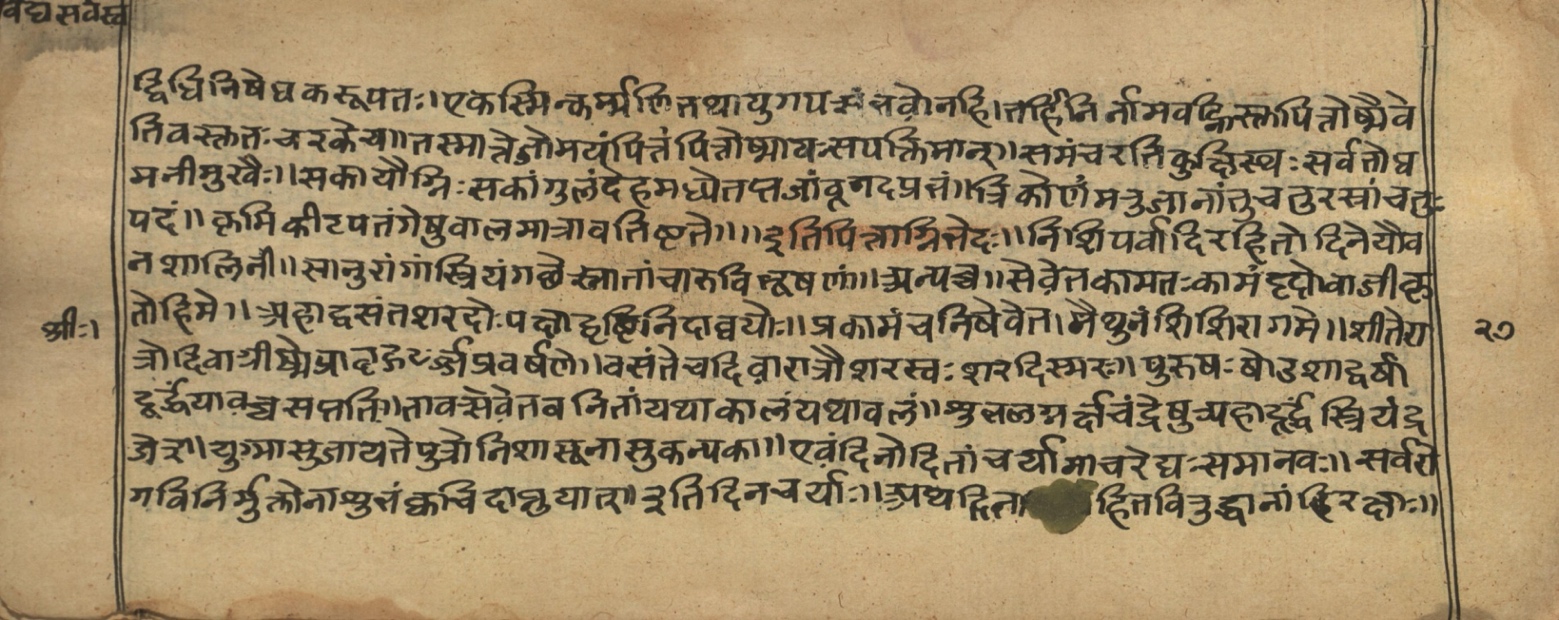 Vaidyasarvasva, page 29