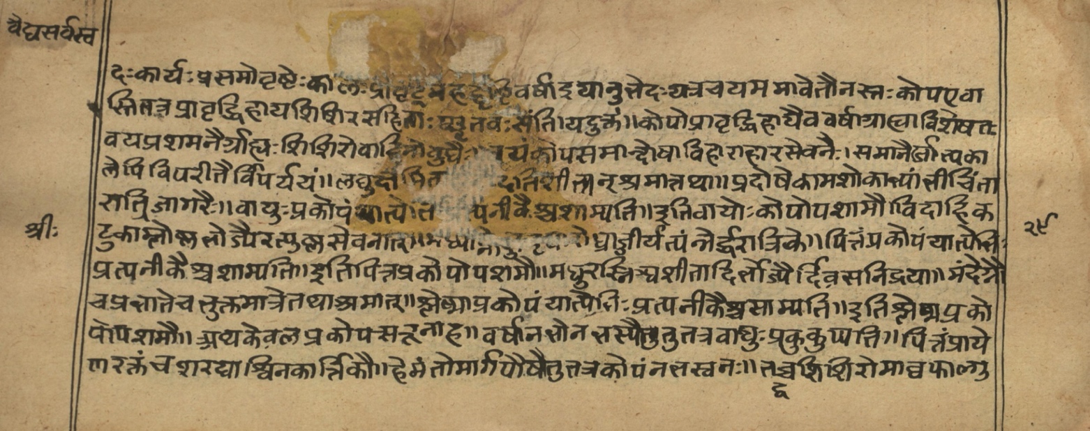 Vaidyasarvasva, page 33