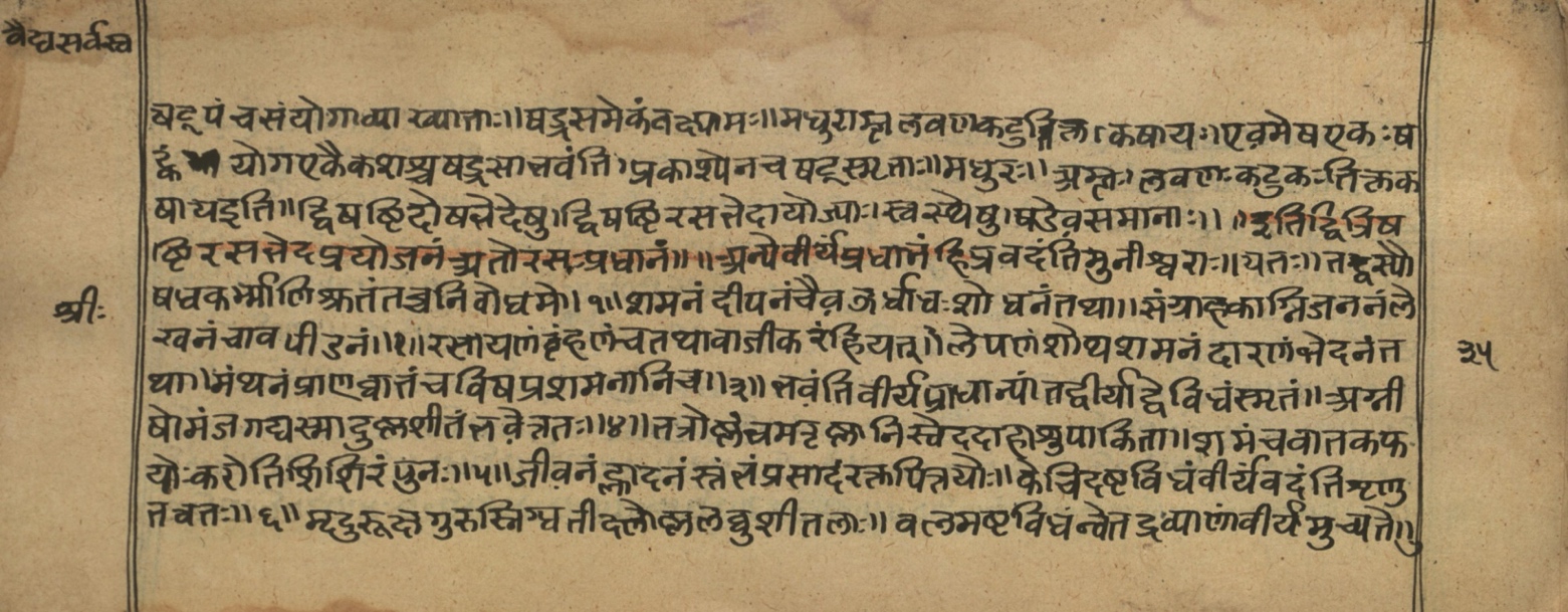 Vaidyasarvasva, page 45