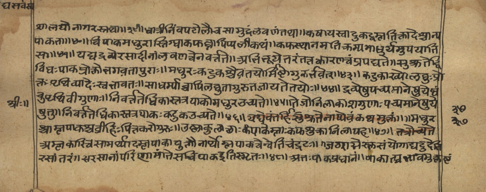 Vaidyasarvasva, page 49