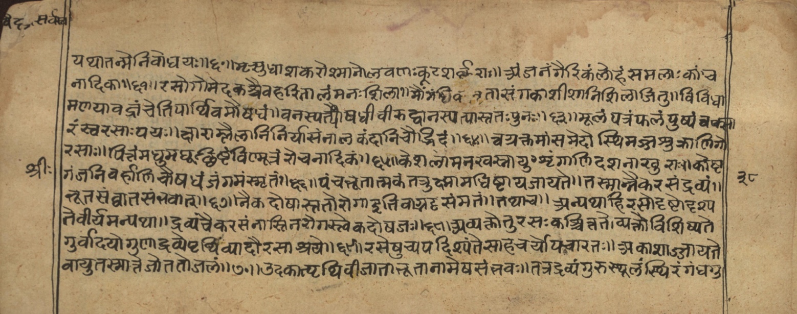 Vaidyasarvasva, page 51