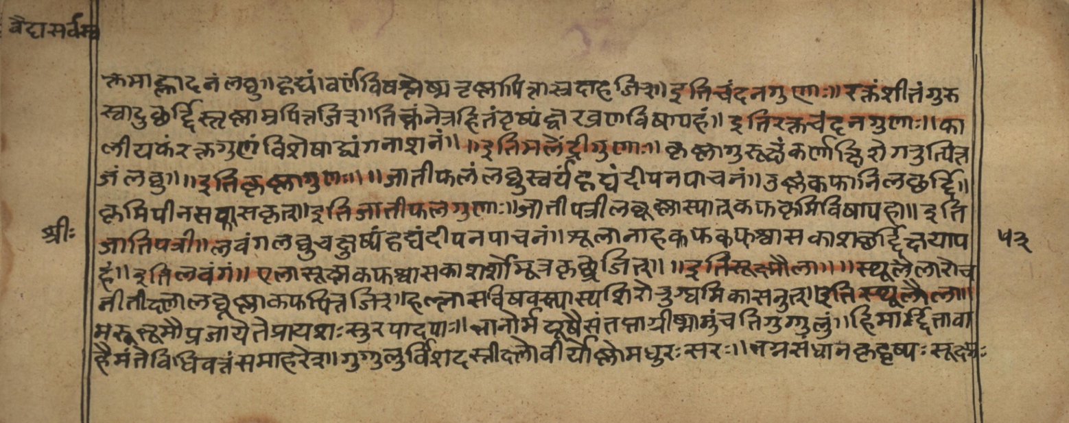 Vaidyasarvasva, page 82