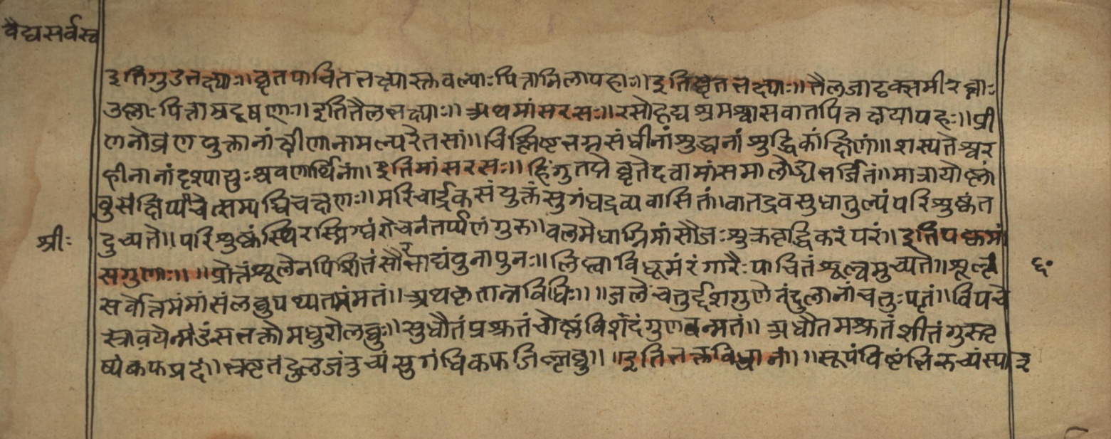 Vaidyasarvasva, page 96